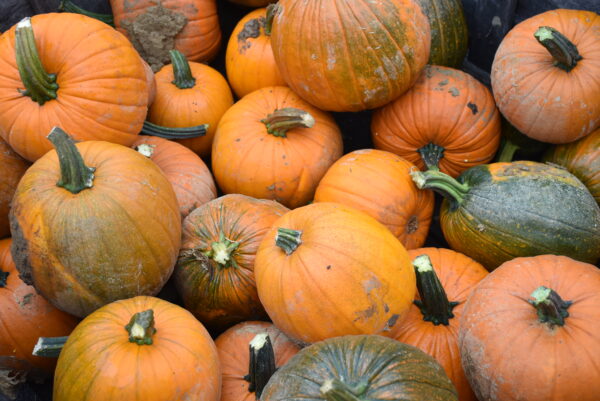 Pumpkins