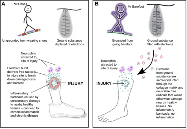 An illustration using simple drawings to show how electrons from the Earth can help neutralize free radicals and reduce inflammation at the site of an injury.