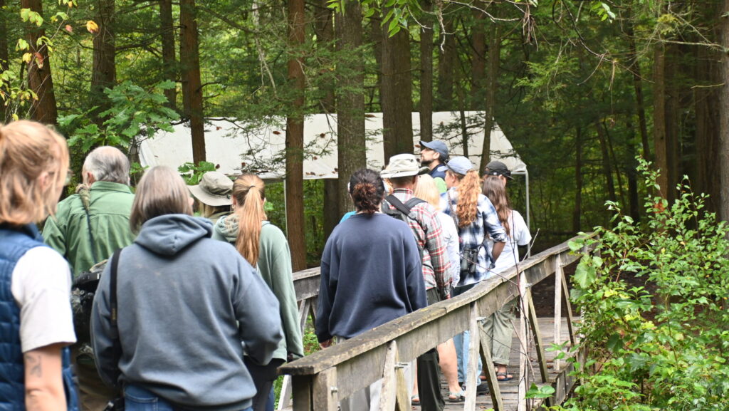 A group of people participate in a guided hike through the woods.