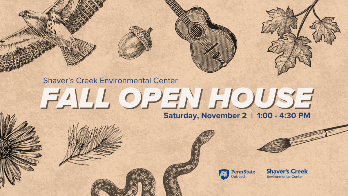 Fall Open House, Saturday, November 2, 2024, 1:00–4:30 p.m.