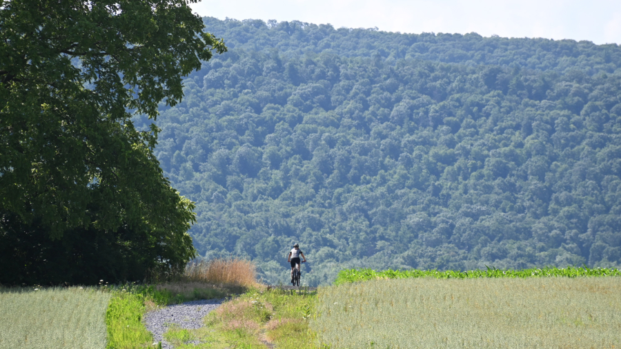 A mountain biker uses the gravel path through Musser Gap Greenway to access trails in Rothrock State Forest.