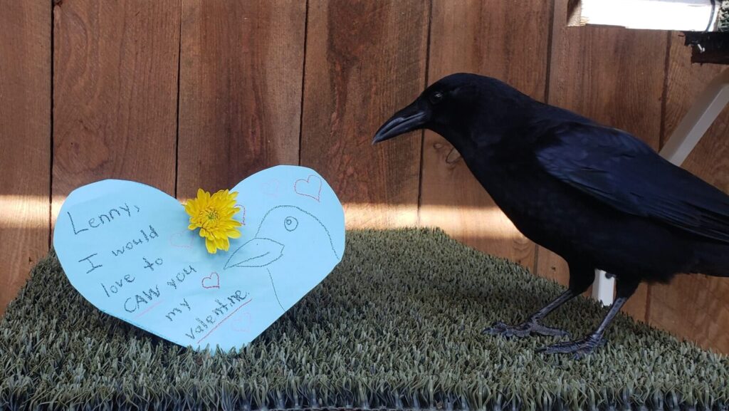 A black crow sits next to a paper heart that says "Lenny, I would love to caw you my valentine"