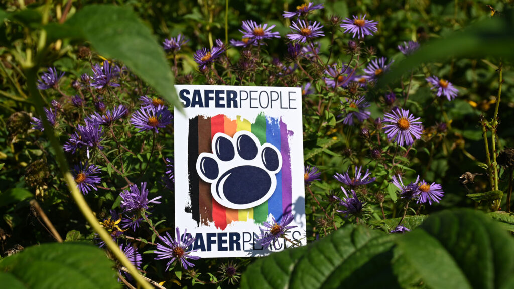 A sticker reading Safer People Safer Places lies in a bed of purple asters