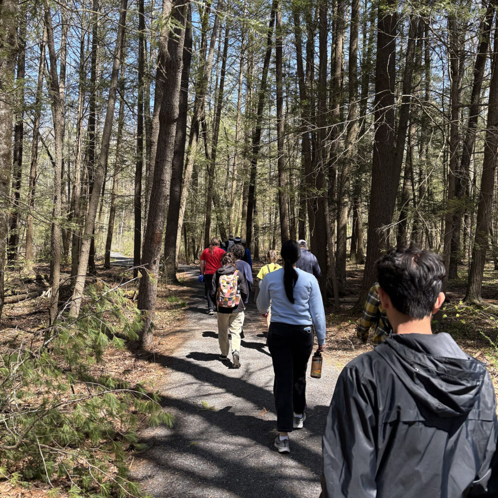 Students hike on a well-maintained forest trail