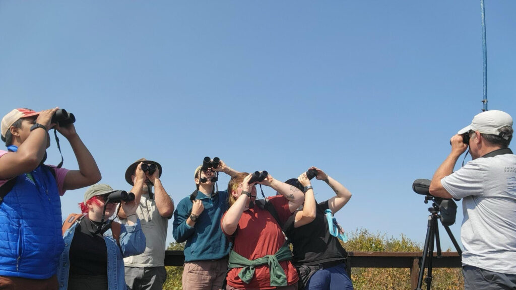 A group of birders look through binoculars as they search the sky for hawks
