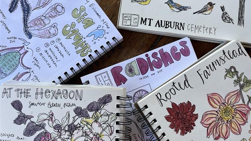 A pile of notebooks with colorful drawings and words.