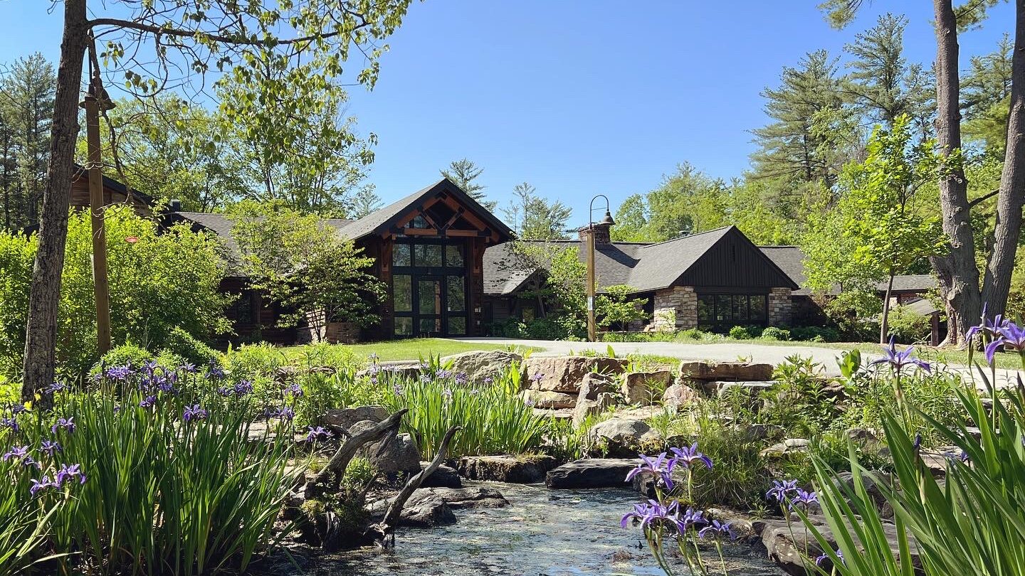 Shaver's Creek in spring.