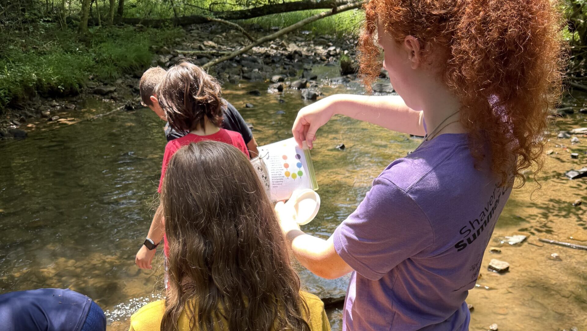 A group of young campers looking into a stream