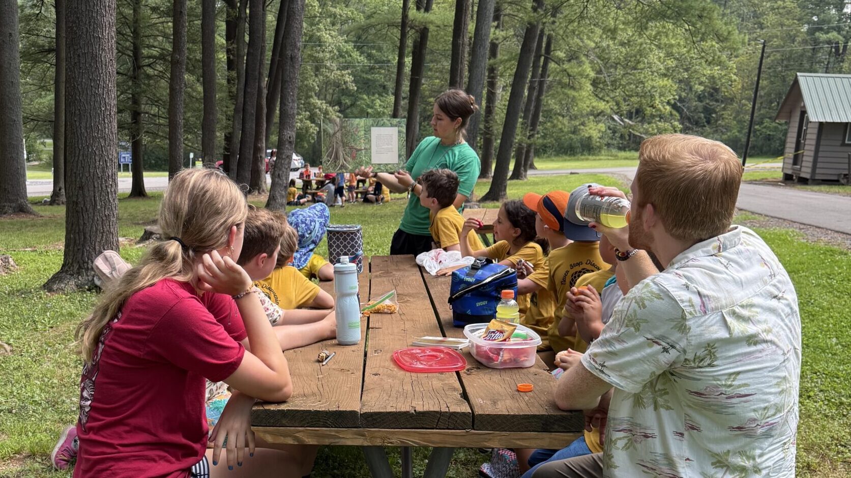 A group of people sit at a picnic table with green grass and trees in the background