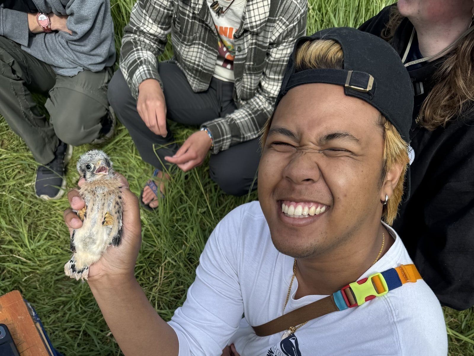 Krisna squinting into the sun while looking up from banding a young bird.