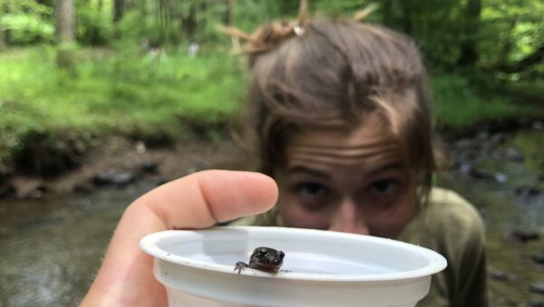 Celia peering from behind a small plastic container that contains a salamander