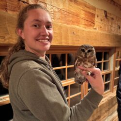 Someone in a gray hoodie smiles at the camera while holding a small owl in their hand.