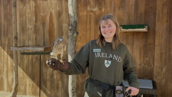 Emily with a hawk perched on her gloved hand.