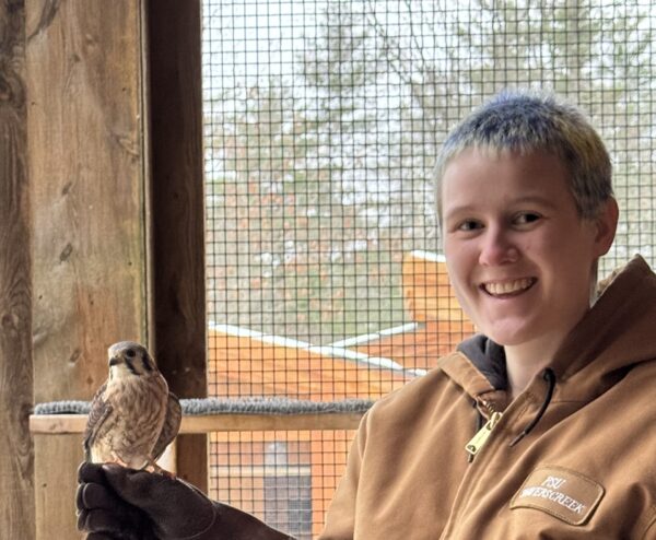 Allison wearing a leather glove with a small raptor perched on her finger