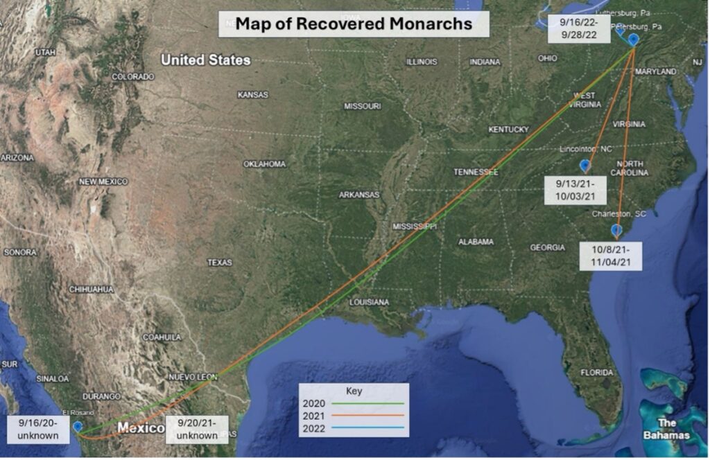 Map showing the migration of monarch butterflies released from Shaver's Creek to locations in Mexico, North Carolina, and South Carolina.