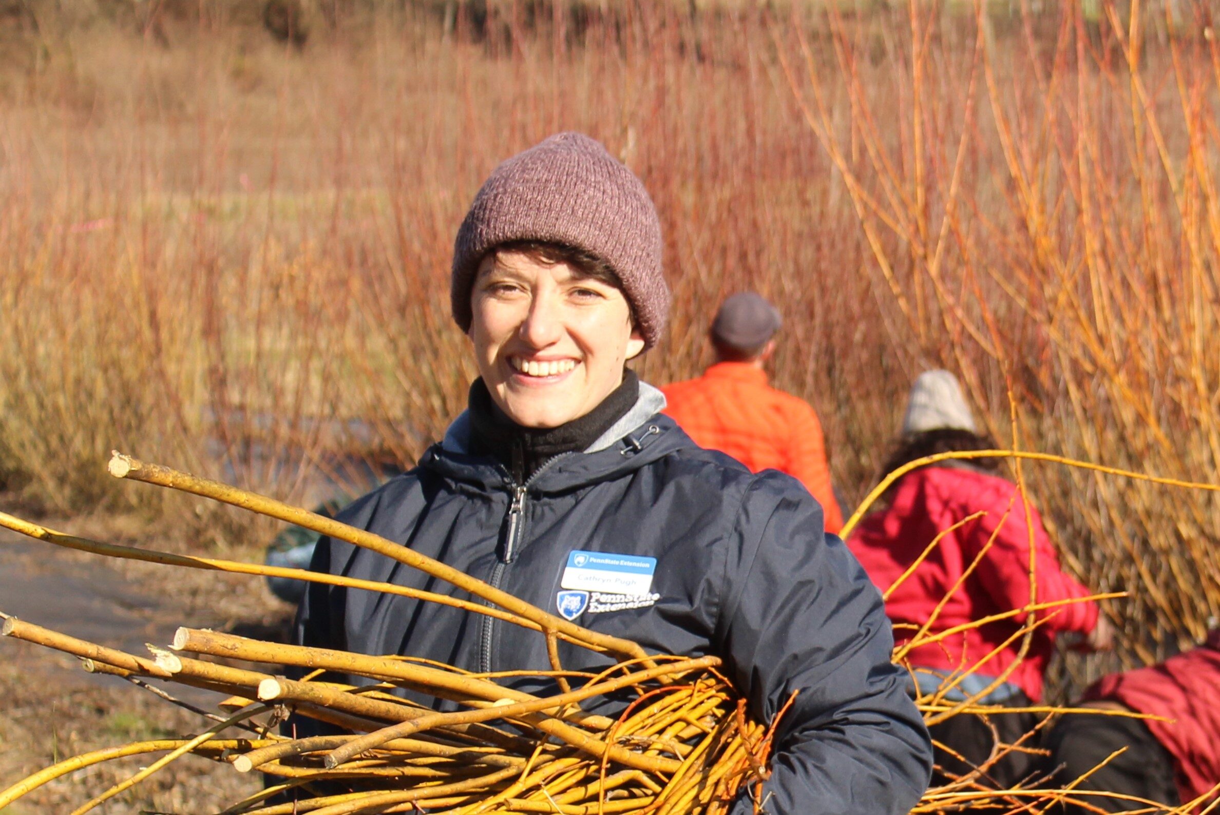 Cathryn harvesting young willow saplings