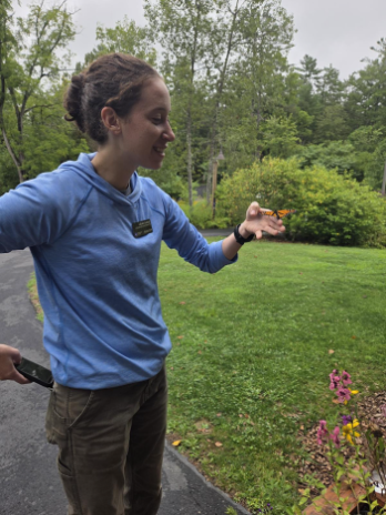 A handler releases a Monarch butterfly to be tracked