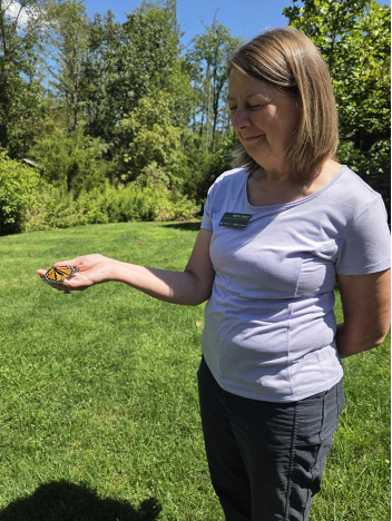 A handler releases a Monarch butterfly to be tracked