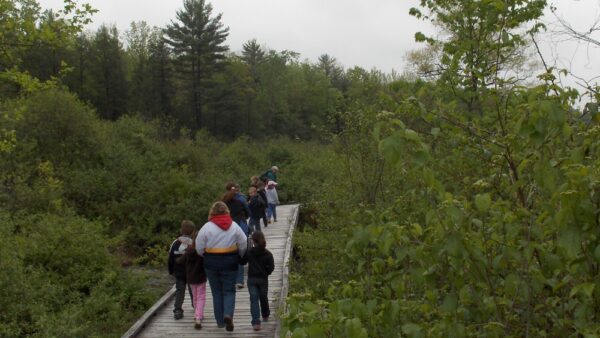 A group of people walk across the boardwalk at Shaver's Creek.