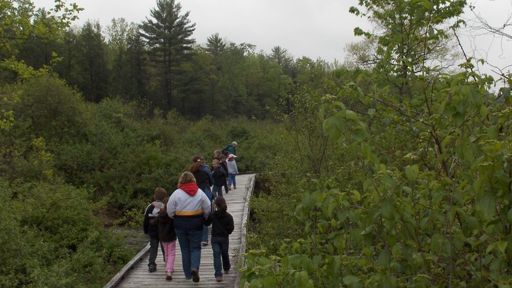 A group of people walk across the boardwalk at Shaver's Creek.