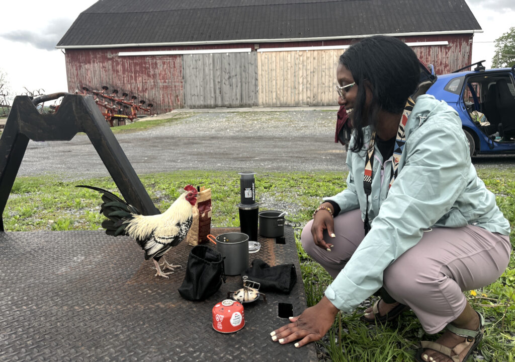A woman crouches beside picnic supplies and is face-to-face with a small rooster.