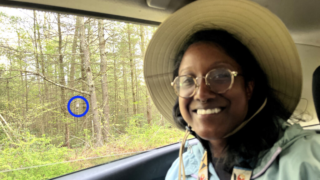 A woman smiles in the backseat of a car. Outside the window there is a barred owl perched on a tree branch.