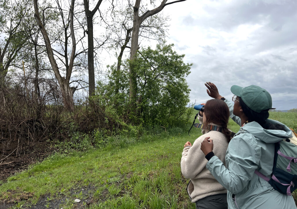 Members of the Queen Birds watch the tree line for bird activity.