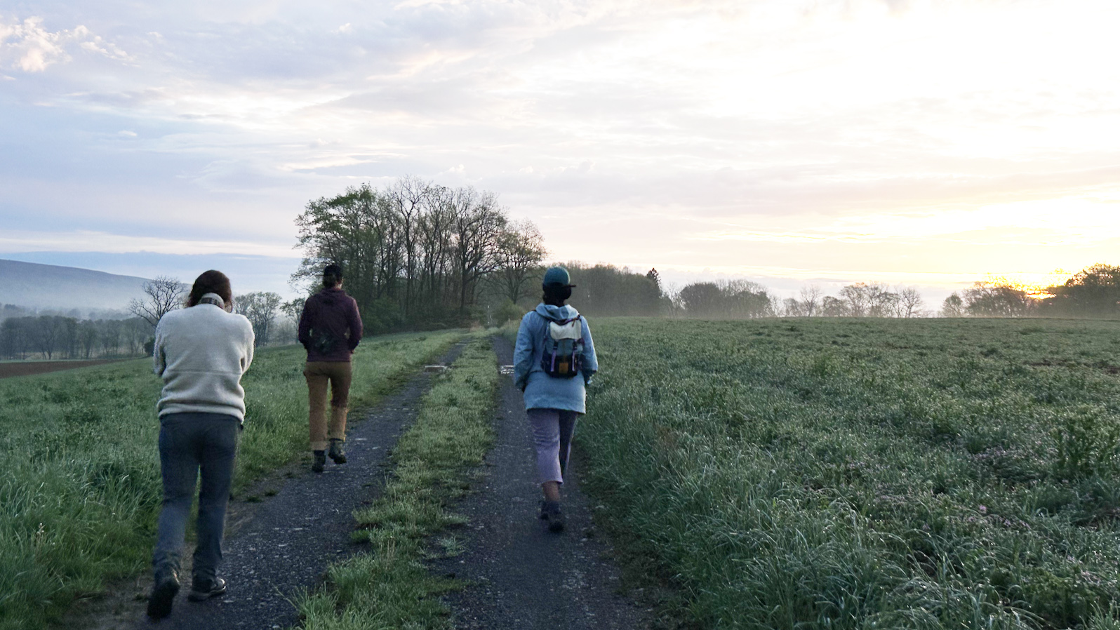 Three women walk along a gravel farm road as the sun rises